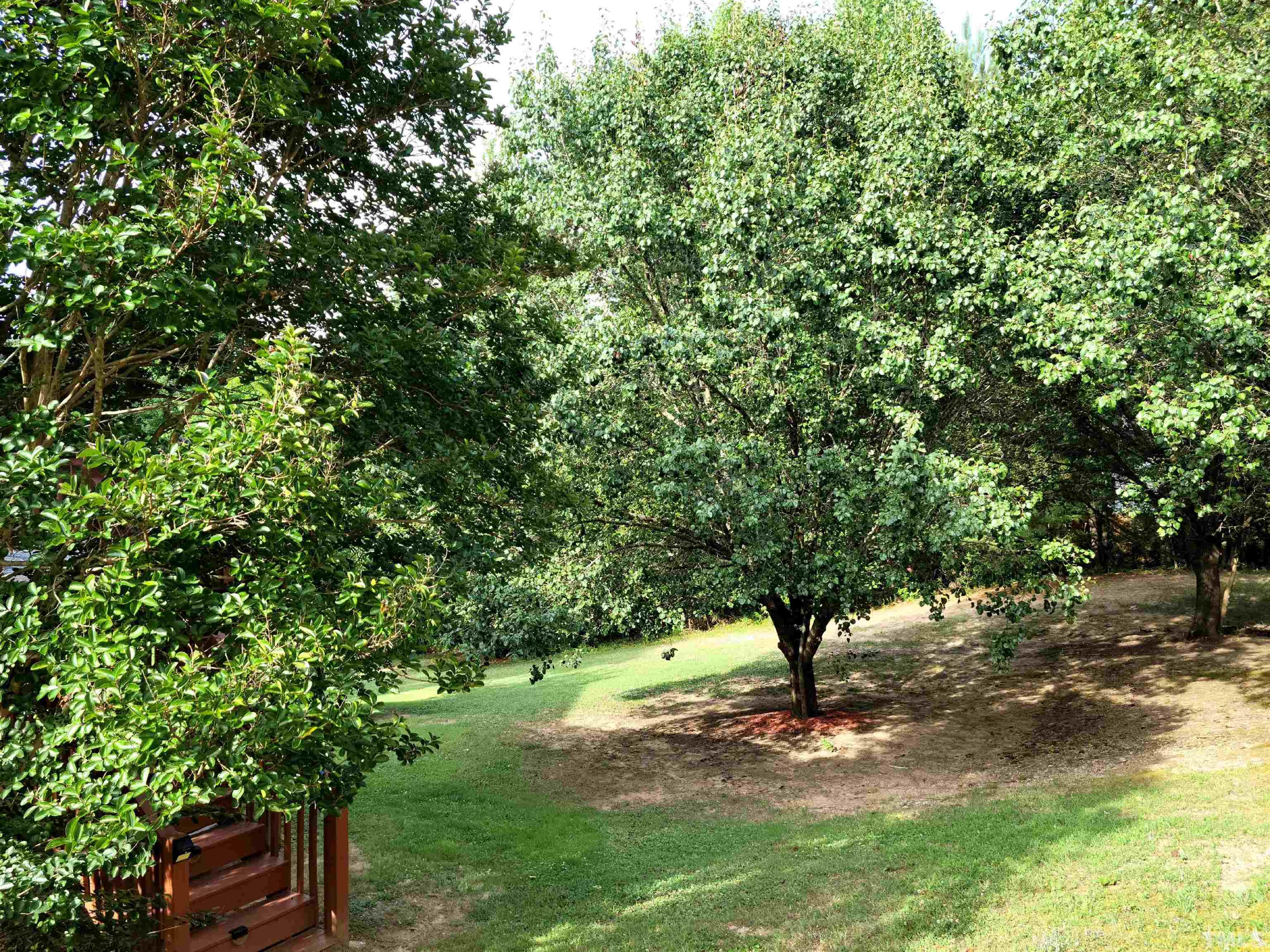 913 Delham Road Knightdale, NC 27545 - Photo 5 of 14 Gallery Image 5