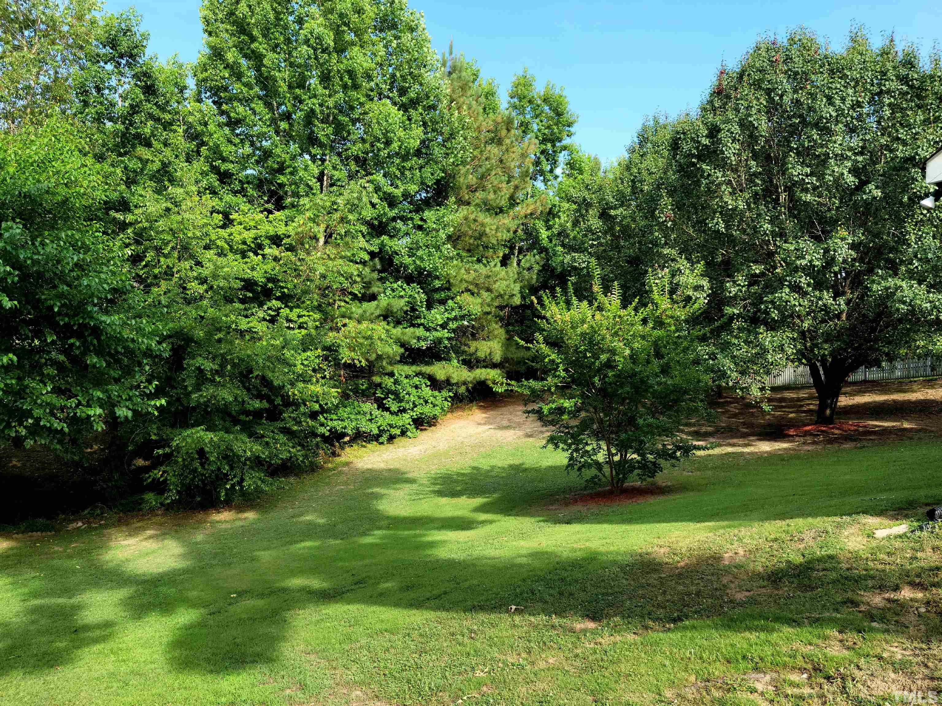 913 Delham Road Knightdale, NC 27545 - Photo 6 of 14 Gallery Image 6