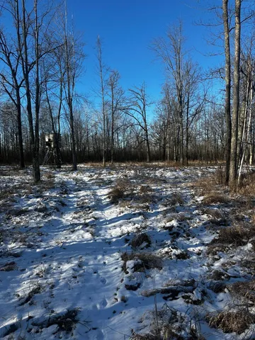 $549,900 | 66605 Norway Spruce Road, Finlayson, MN 55735