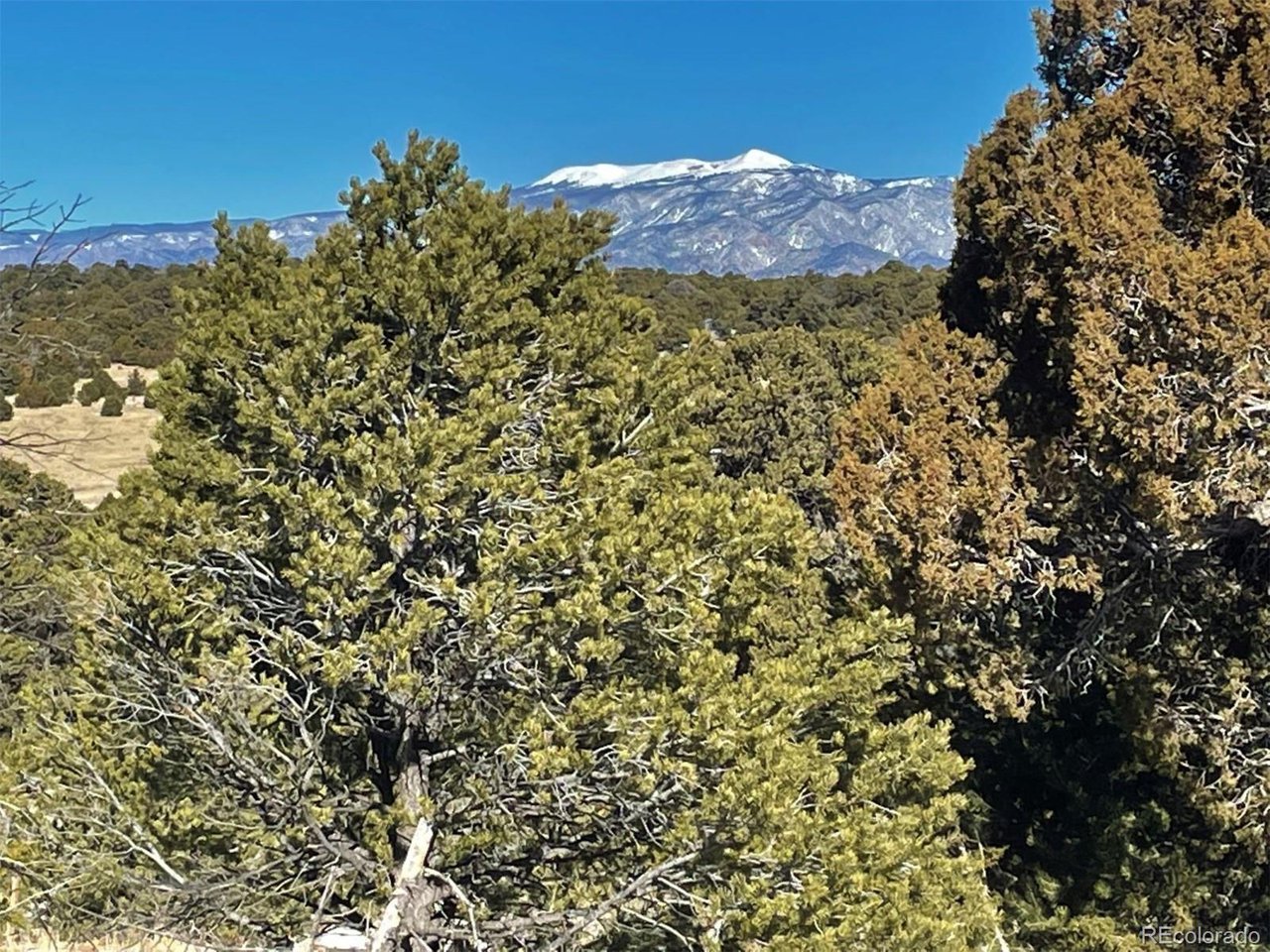64 Navajo Ranch Walsenburg, CO 81089 - Photo 12 of 19