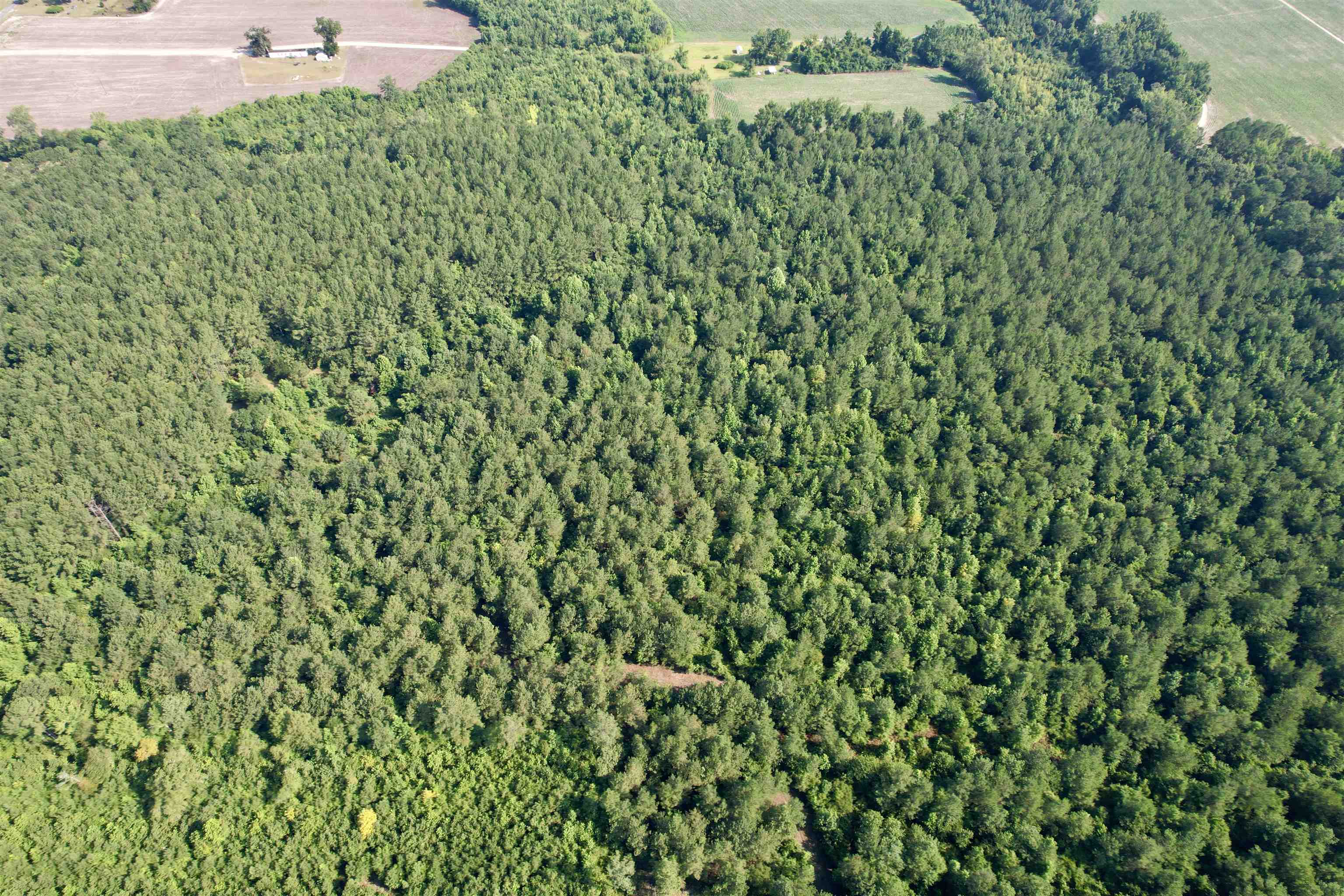 101.49-acres - Epps Road New Zion, SC 29111 - Photo 16 of 24
