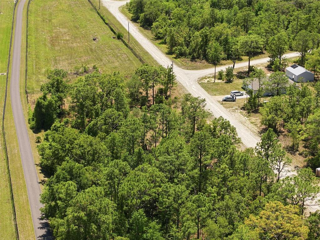 10 Cagarro Road Weeki Wachee, FL 34614 - Photo 21 of 21