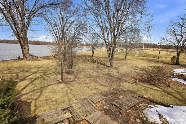 a view of a yard with trees