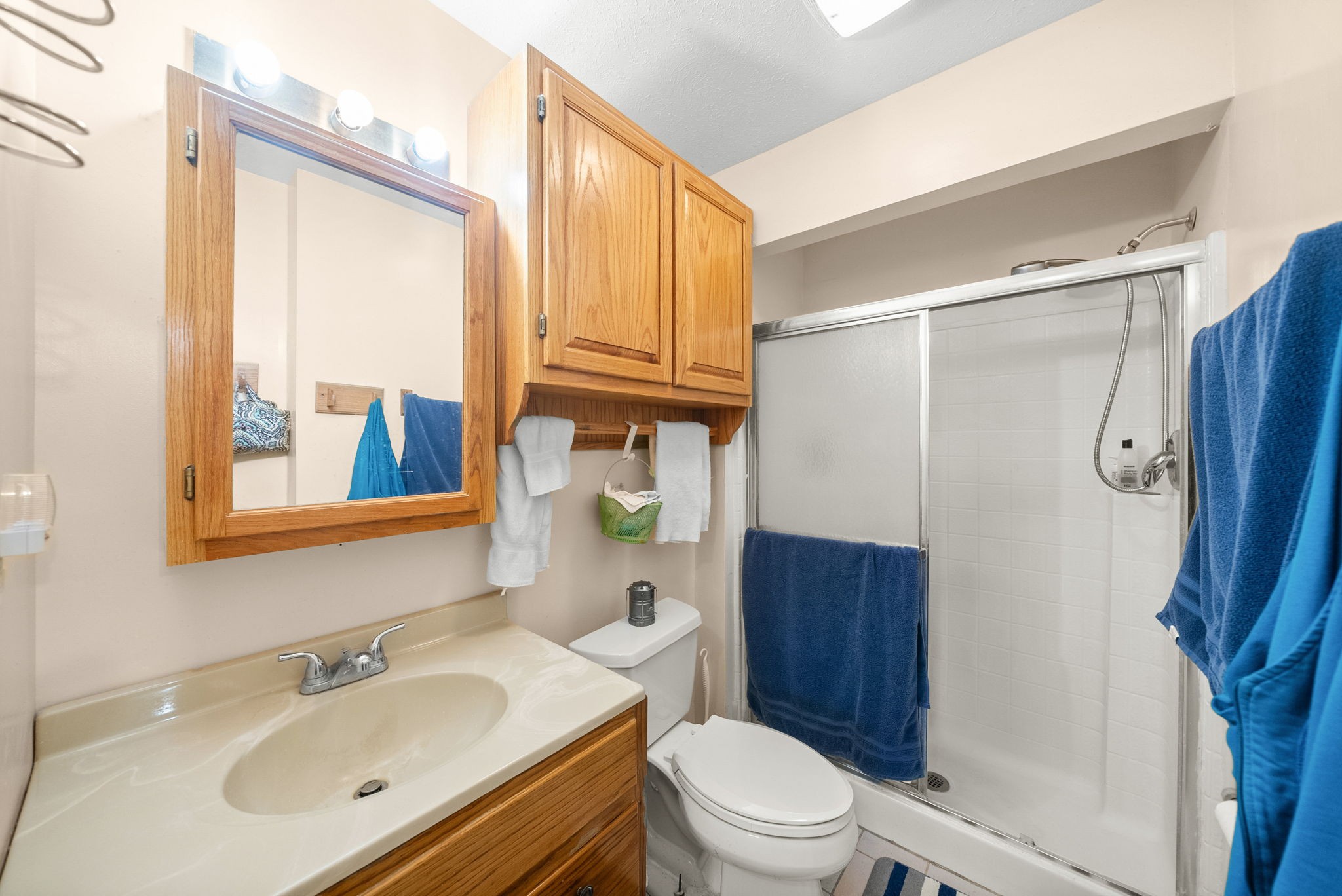 3966 Taz Hyde Road Nashville, TN 37218 - Photo 16 of 48 a bathroom with a sink a toilet and shower