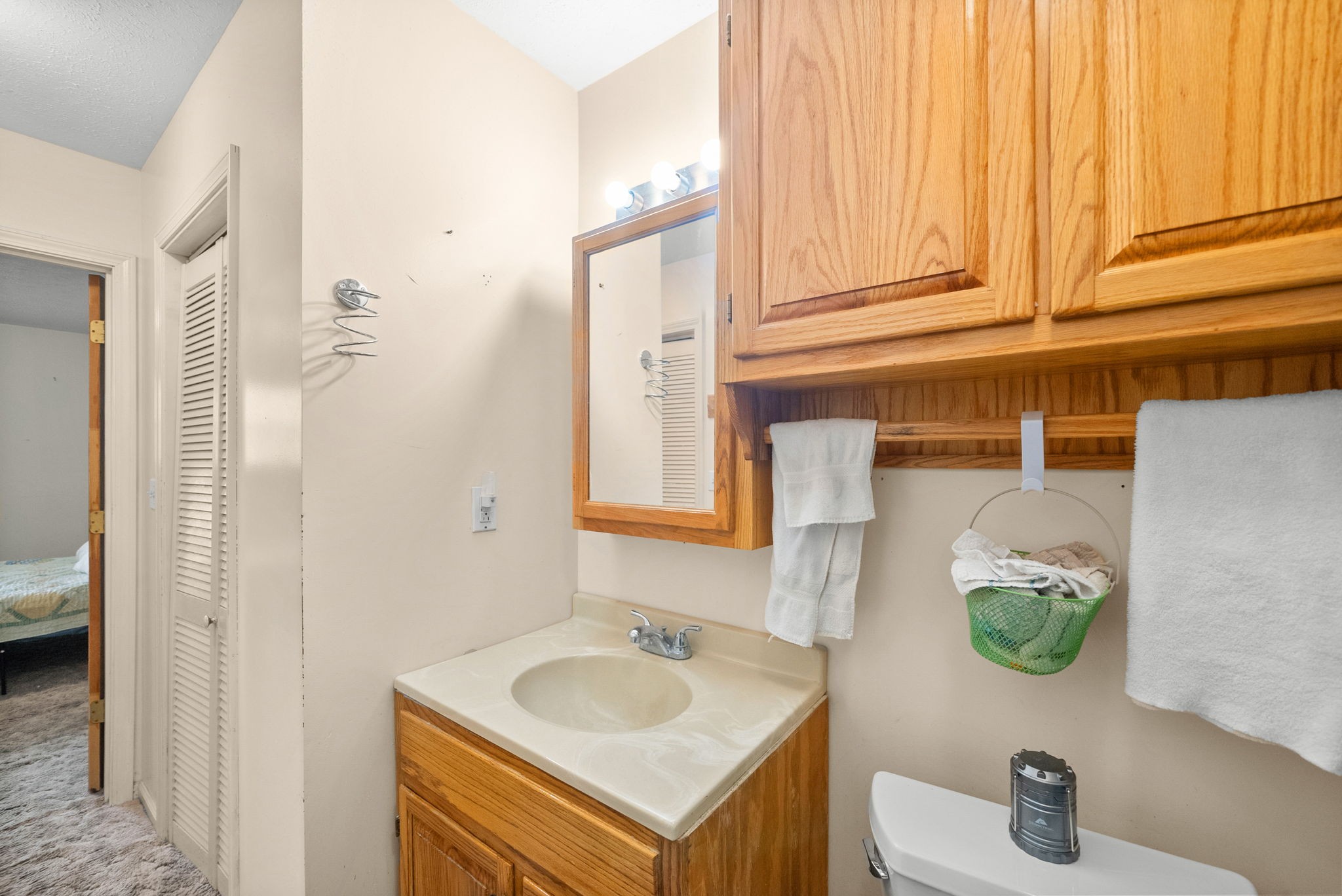 3966 Taz Hyde Road Nashville, TN 37218 - Photo 17 of 48 a bathroom with a sink and a mirror