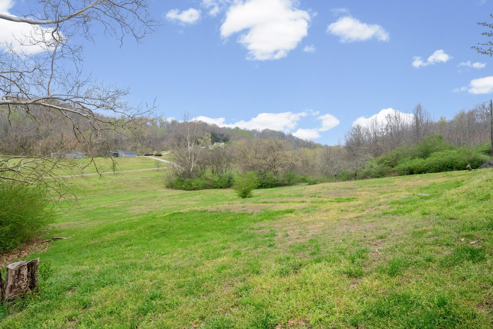 3966 Taz Hyde Road Nashville, TN 37218 - Photo 24 of 48 a view of an mountain with a garden