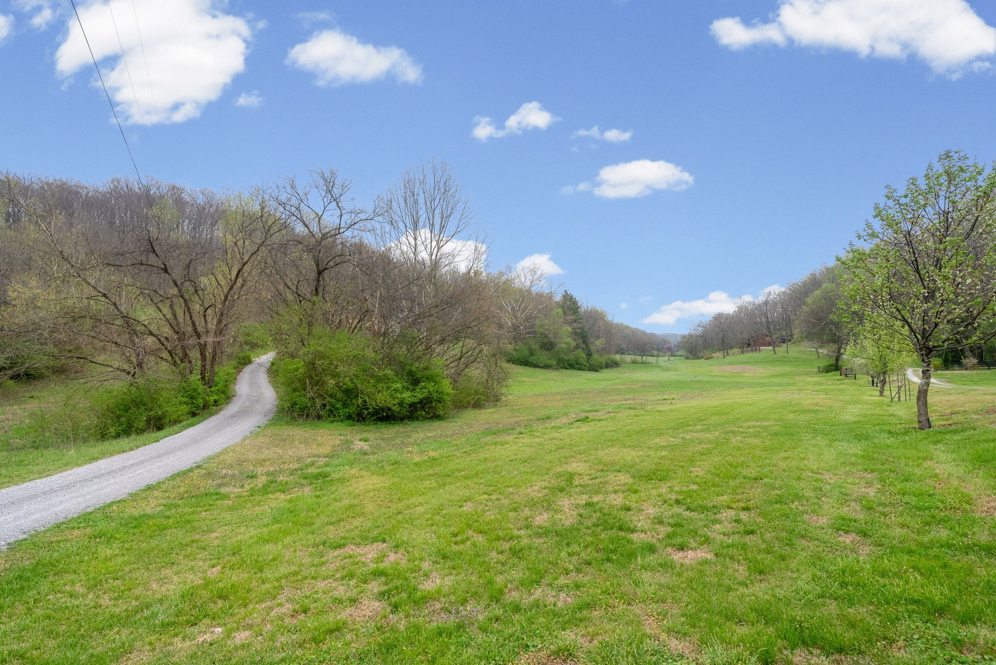 3966 Taz Hyde Road Nashville, TN 37218 - Photo 25 of 48 a view of an outdoor space and yard