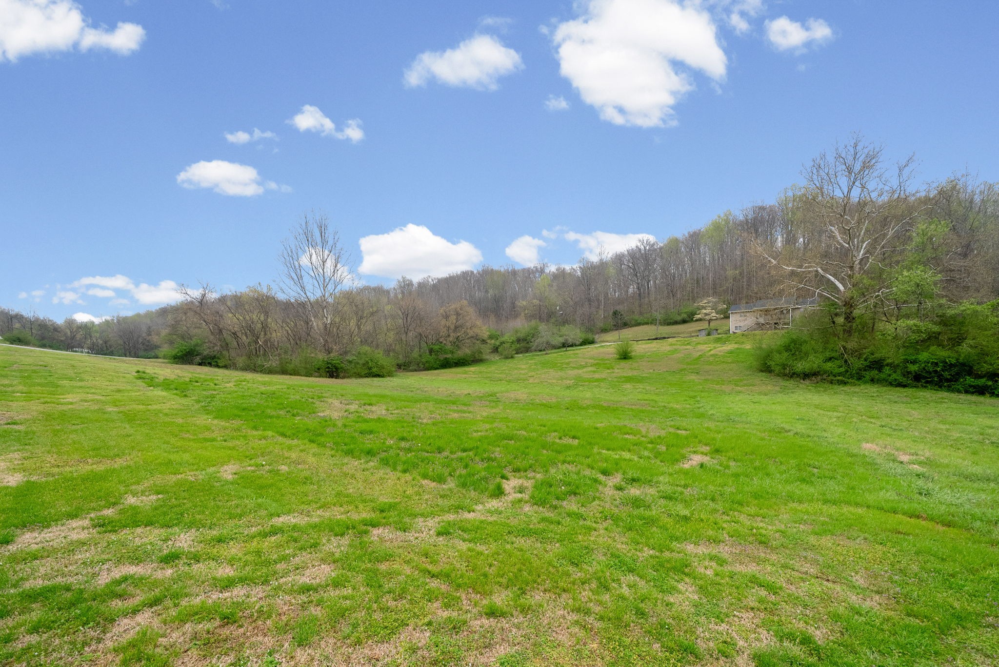3966 Taz Hyde Road Nashville, TN 37218 - Photo 26 of 48 a view of a grassy area with an trees