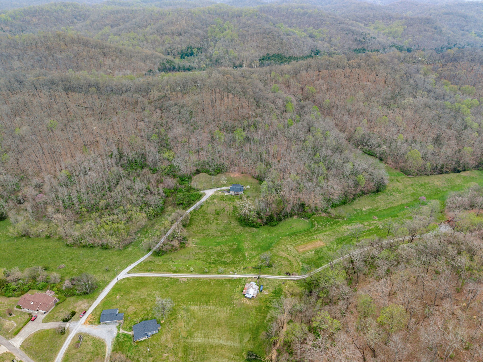 3966 Taz Hyde Road Nashville, TN 37218 - Photo 27 of 48 a view of a field with grass and plants