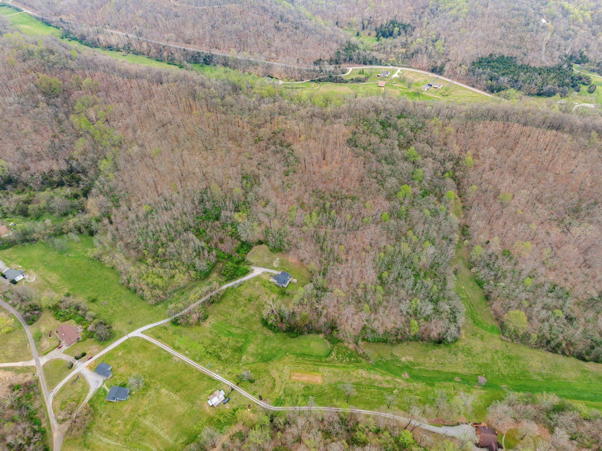 3966 Taz Hyde Road Nashville, TN 37218 - Photo 35 of 48 a view of a field with plants