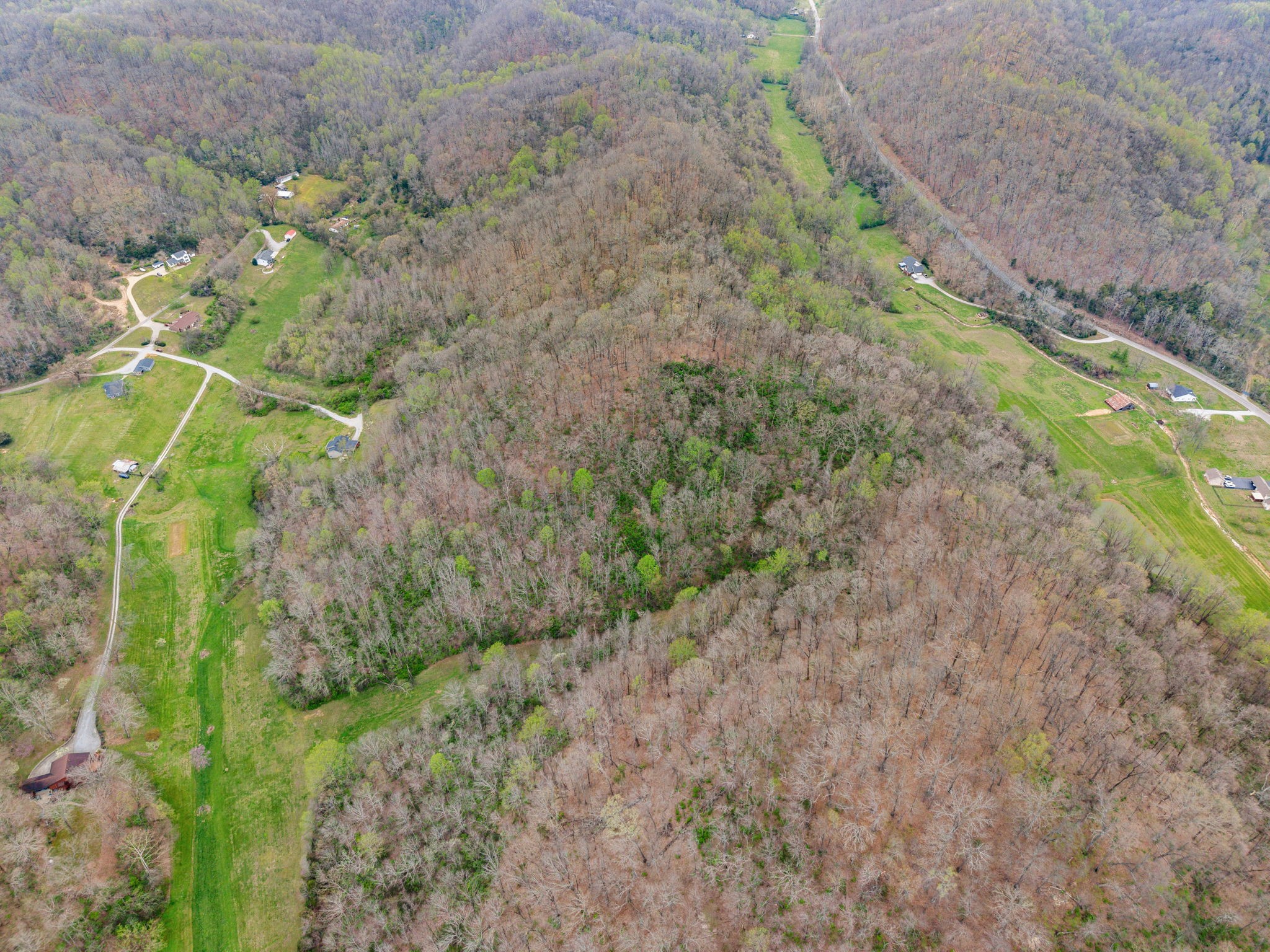 3966 Taz Hyde Road Nashville, TN 37218 - Photo 36 of 48 a view of a yard with a tree