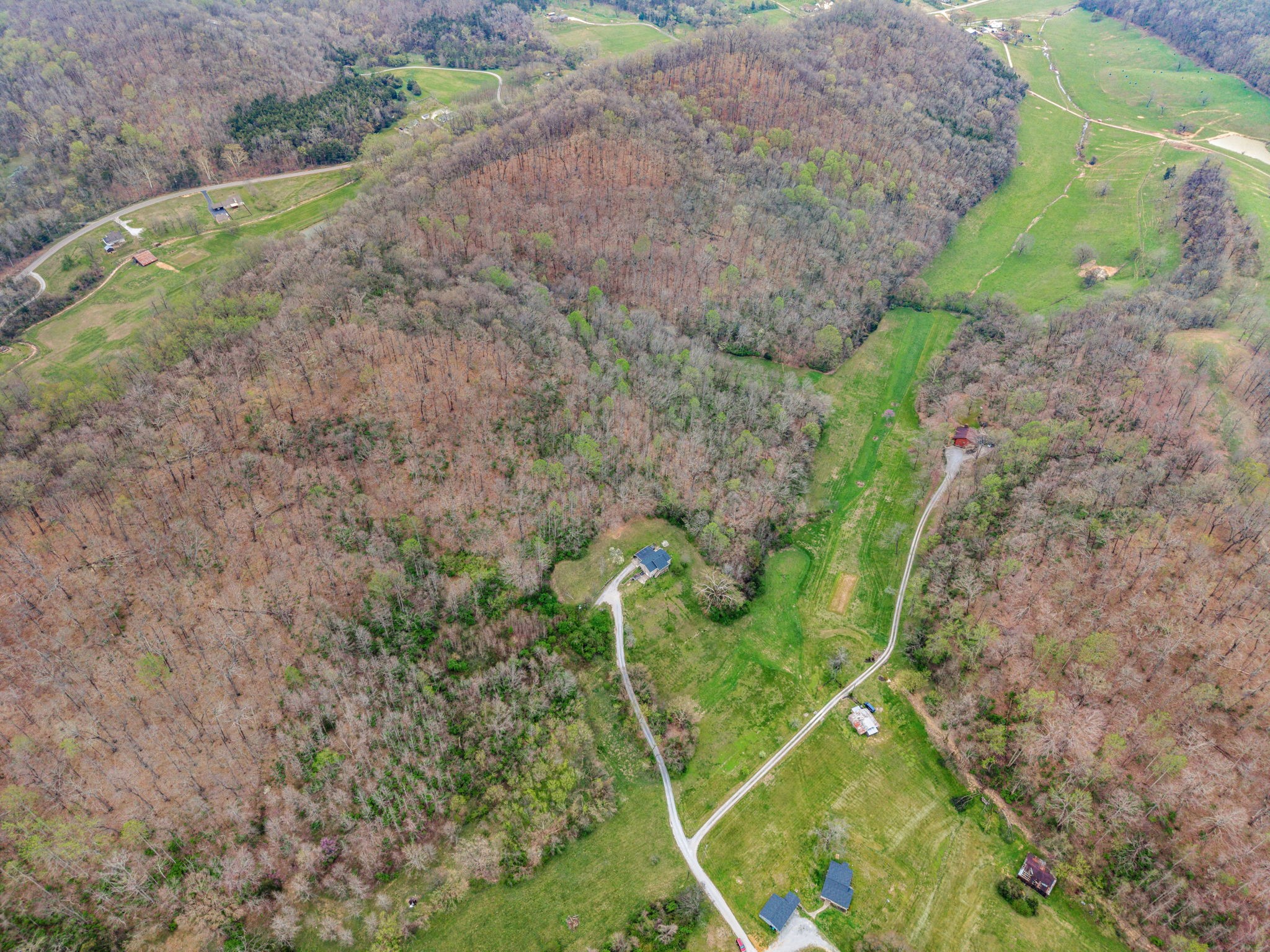 3966 Taz Hyde Road Nashville, TN 37218 - Photo 37 of 48