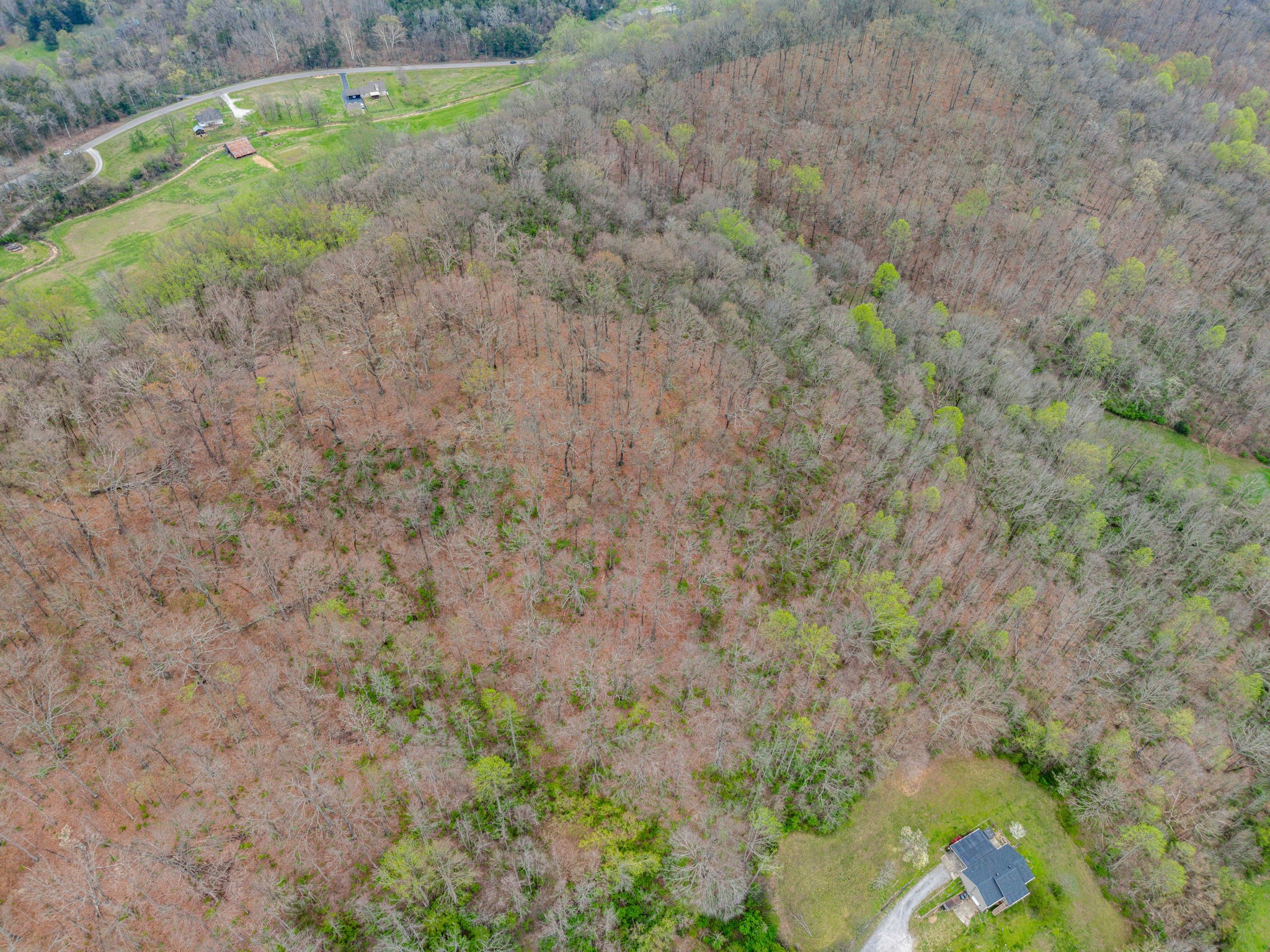 3966 Taz Hyde Road Nashville, TN 37218 - Photo 38 of 48 a view of a yard with a plant