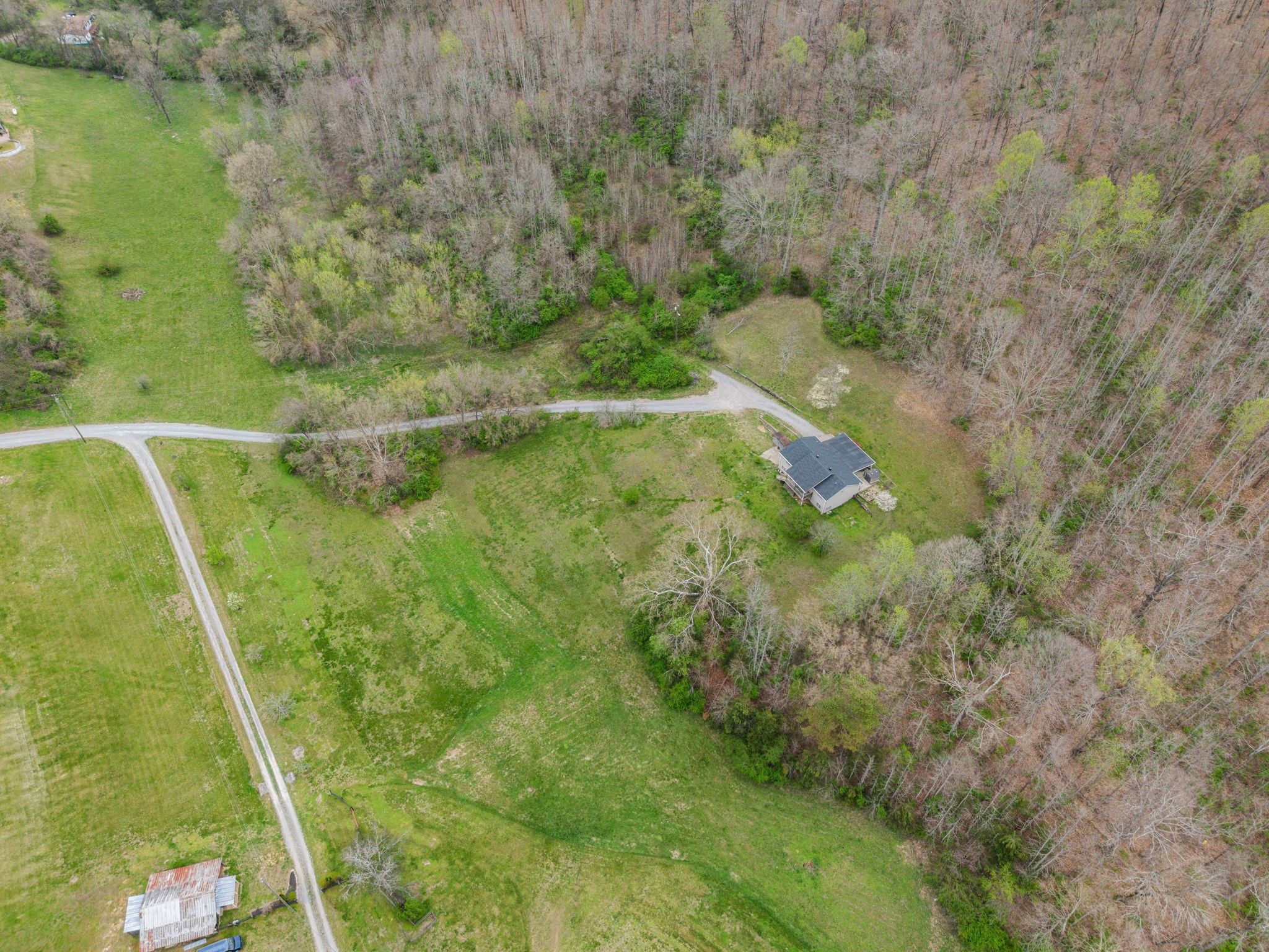 3966 Taz Hyde Road Nashville, TN 37218 - Photo 39 of 48 a view of a yard