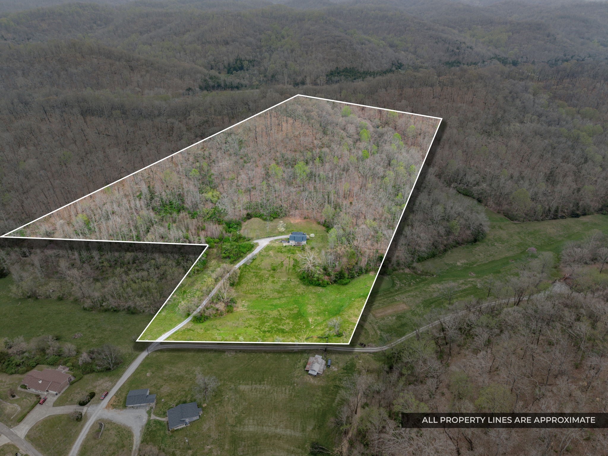 3966 Taz Hyde Road Nashville, TN 37218 - Photo 4 of 48