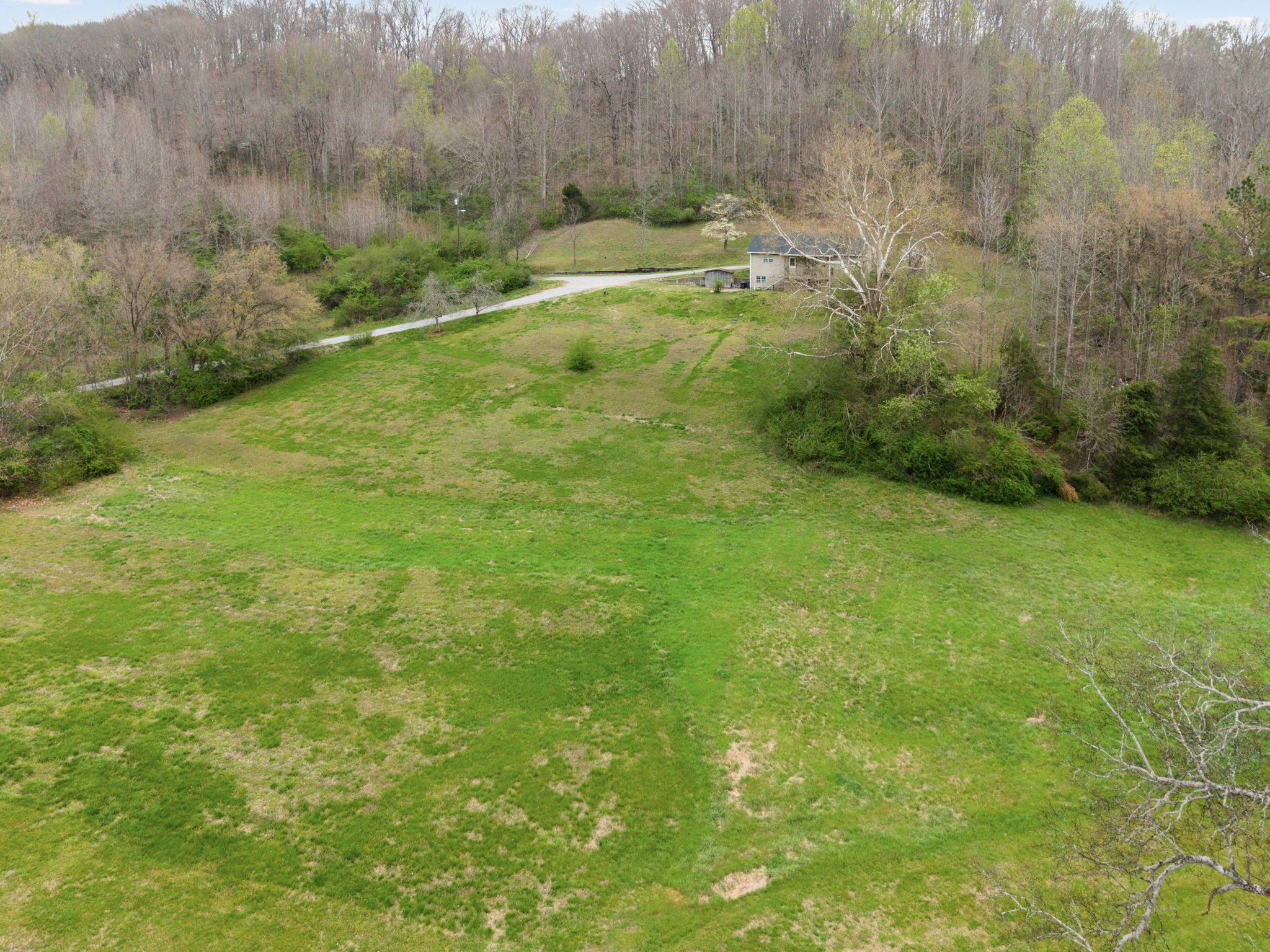 3966 Taz Hyde Road Nashville, TN 37218 - Photo 43 of 48 a view of a green yard with large trees