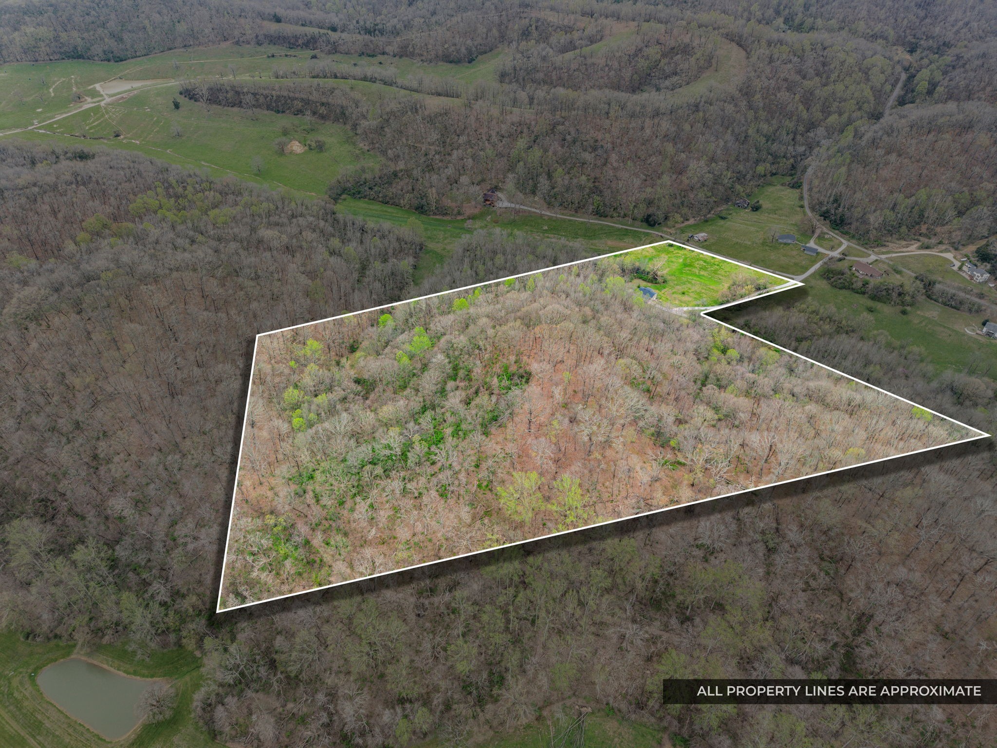 3966 Taz Hyde Road Nashville, TN 37218 - Photo 5 of 48 a view of a yard