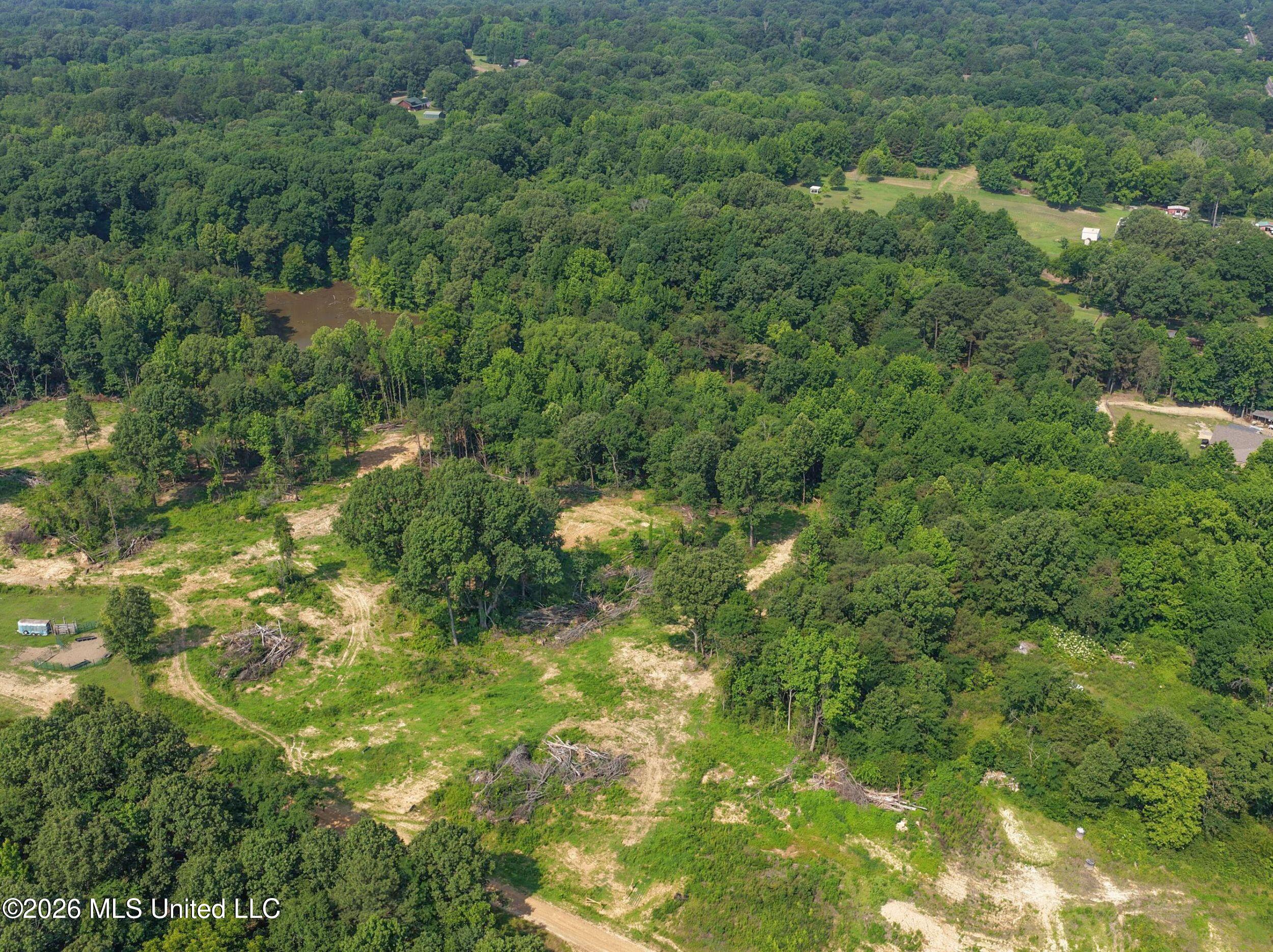 2169 Slocum Road Hernando, MS 38632 - Photo 16 of 94 5slcm7