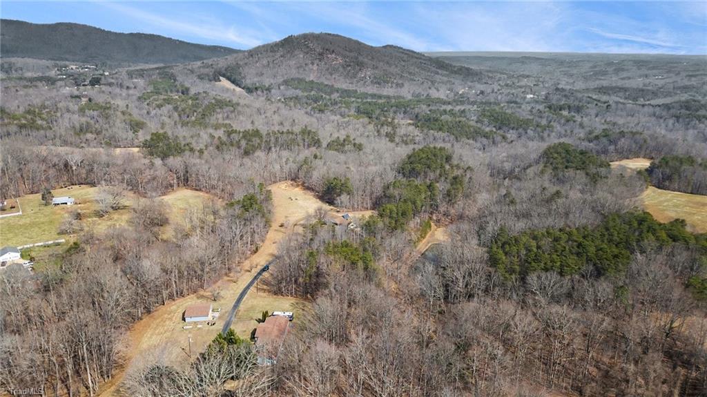 4037 Flat Shoals Road Germanton, NC 27019 - Photo 43 of 46