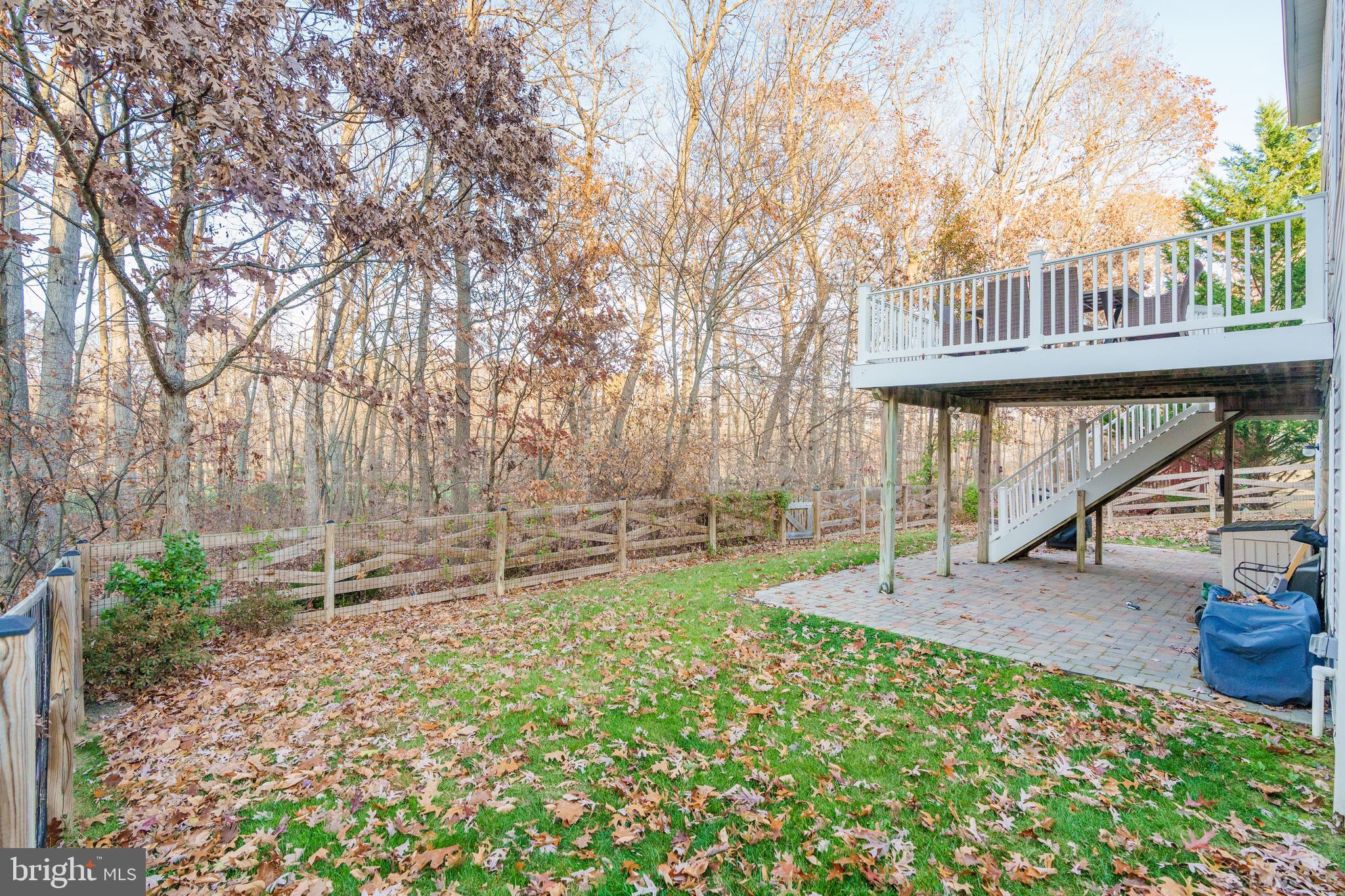 232 Patriots Way Elkton, MD 21921 - Photo 27 of 34 Wooded view from the backyard