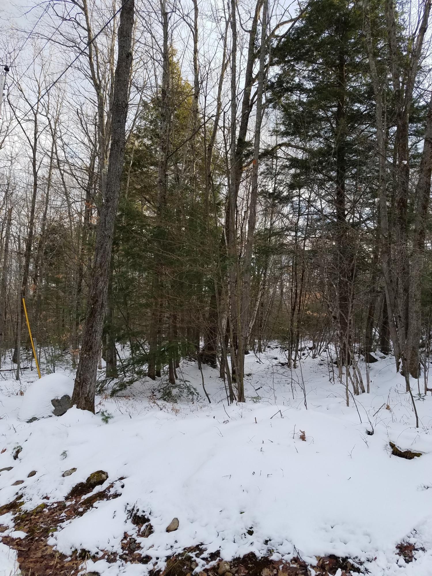 105 Allen Road Stoneham, ME 04231 - Photo 1 of 3 ham1