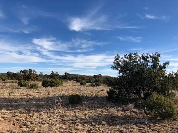 $34,000 | 11 Anza Road, Corona, NM 88318