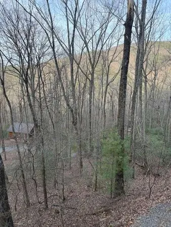 $225,000 | 136 Little Rock Creek Trail, Cherry Log, GA 30522