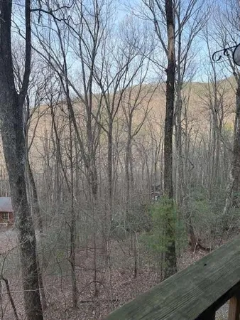 $225,000 | 136 Little Rock Creek Trail, Cherry Log, GA 30522