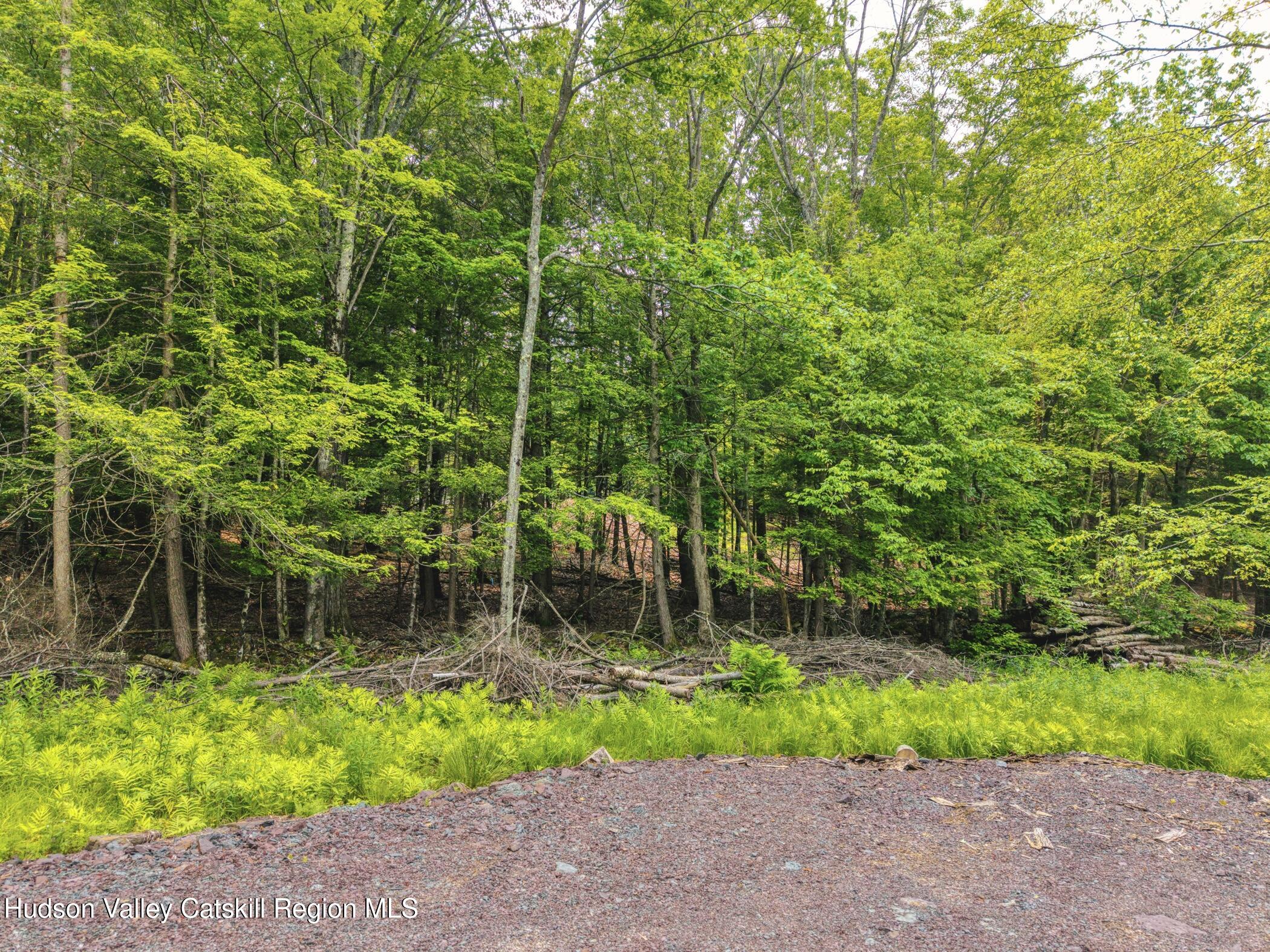 Tbd Boulder Brook Road Windham, NY 12496 - Photo 50 of 57 Image-43
