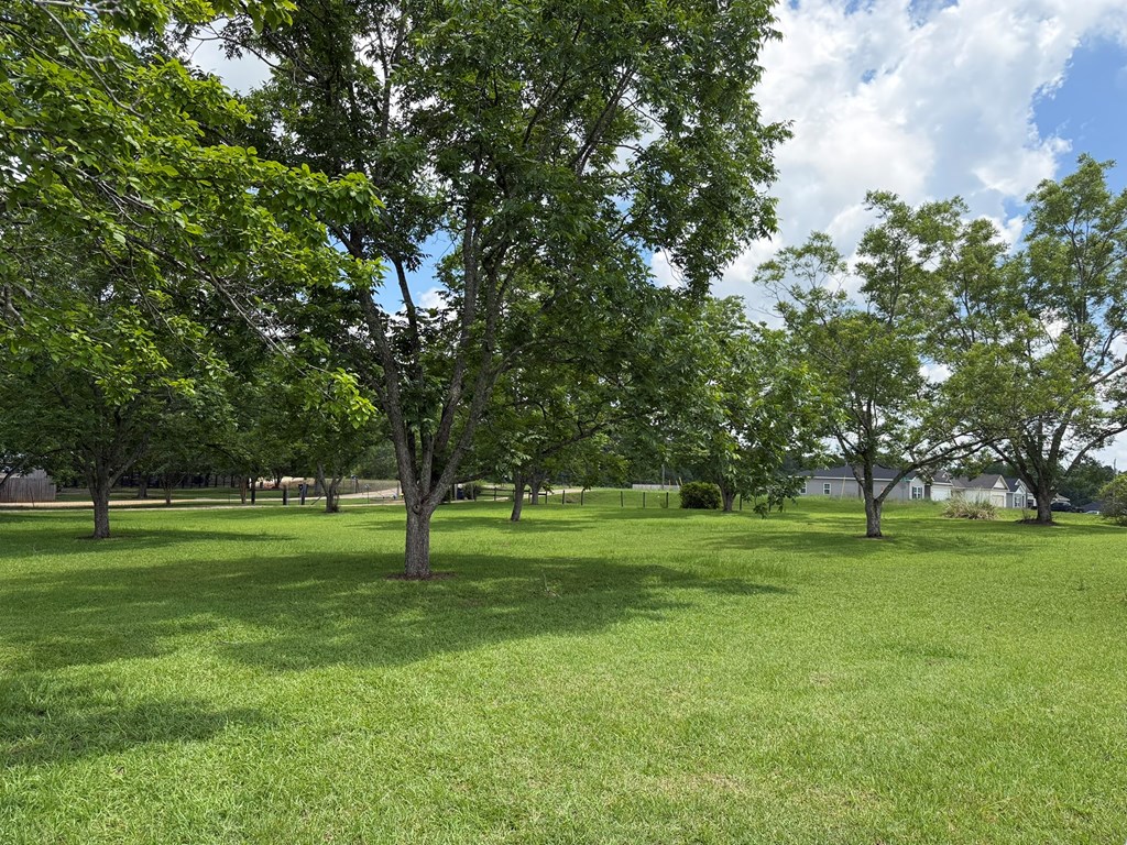 1087 Harper Joy Road Dothan, AL 36301 - Photo 47 of 64 Gallery Image 47