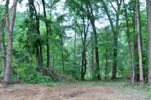 1 Bend Road Clarksville, TN 37040 - Photo 8 of 10