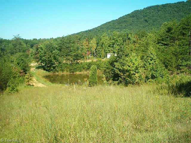 0 McKnight Road King, NC 27021 - Photo 5 of 7 Other.