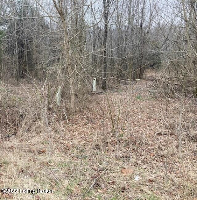 3567 Nelsonville Road Boston, KY 40107 - Photo 1 of 4 NELSONVILLE MLS PHOTO