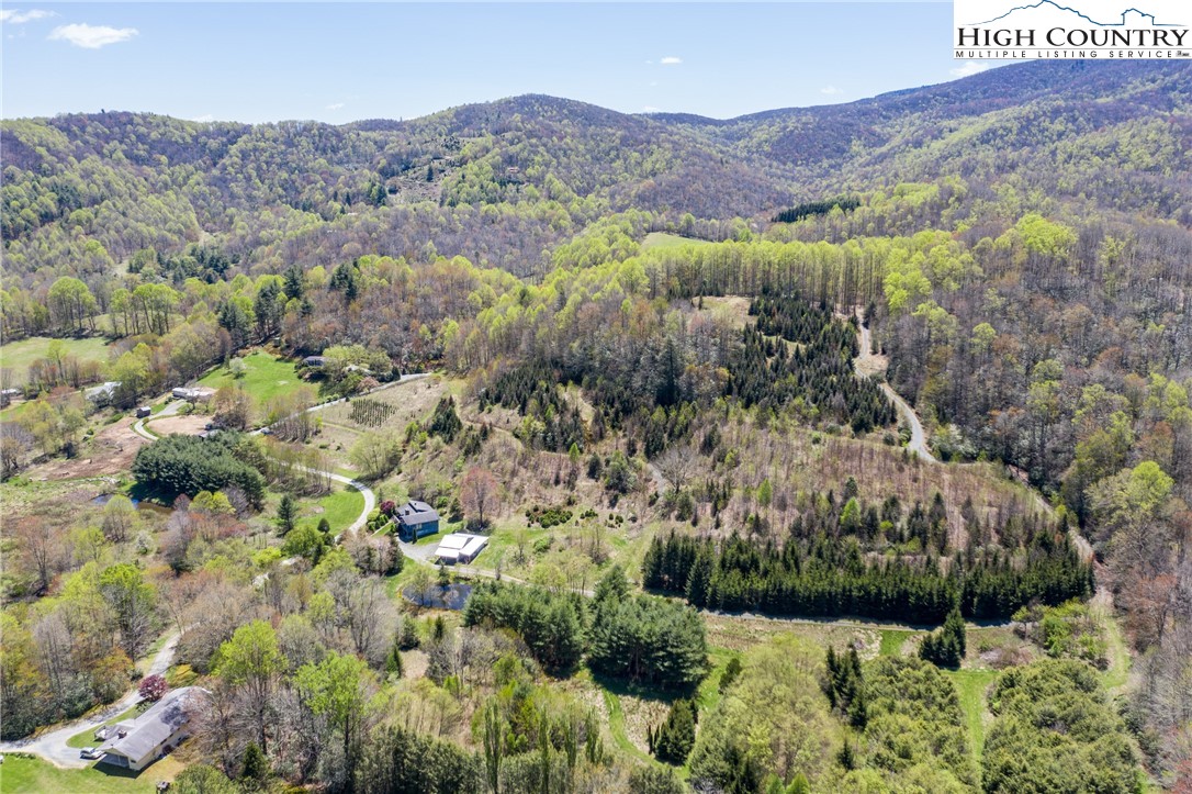 276 Stella Taylor Road Boone, NC 28607 - Photo 4 of 28 Gallery Image 4