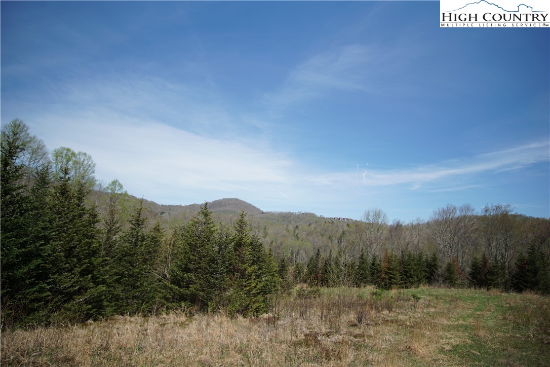 276 Stella Taylor Road Boone, NC 28607 - Photo 6 of 28 Gallery Image 6