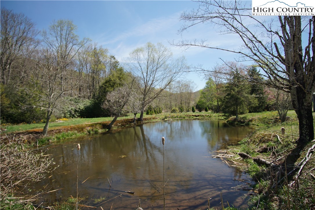 276 Stella Taylor Road Boone, NC 28607 - Photo 7 of 28 Gallery Image 7
