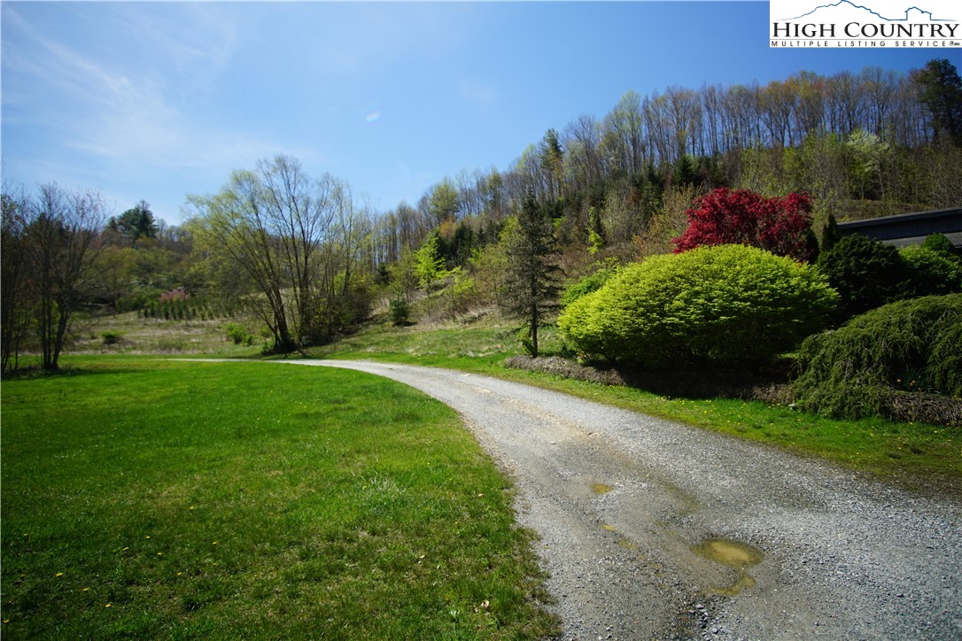 276 Stella Taylor Road Boone, NC 28607 - Photo 8 of 28 Gallery Image 8