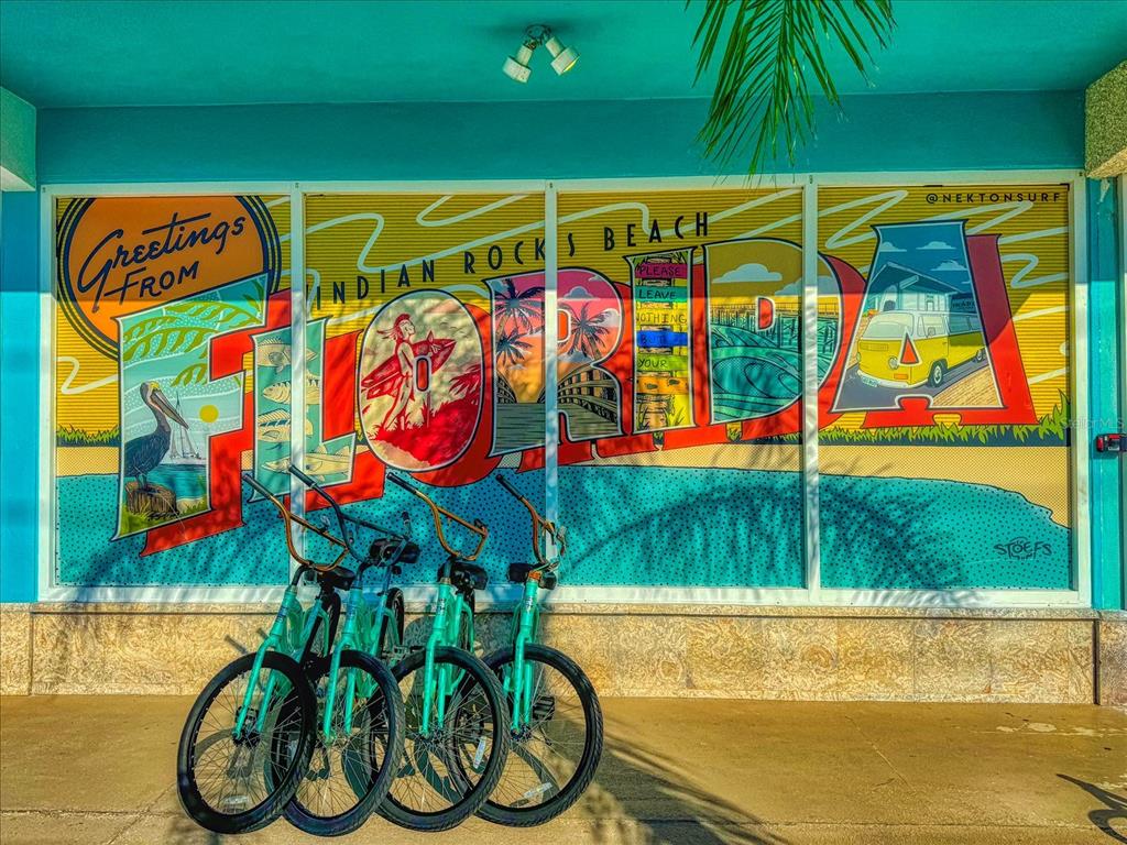 2515 Bay Boulevard, Unit B Indian Rocks Beach, FL 33785 - Photo 51 of 66