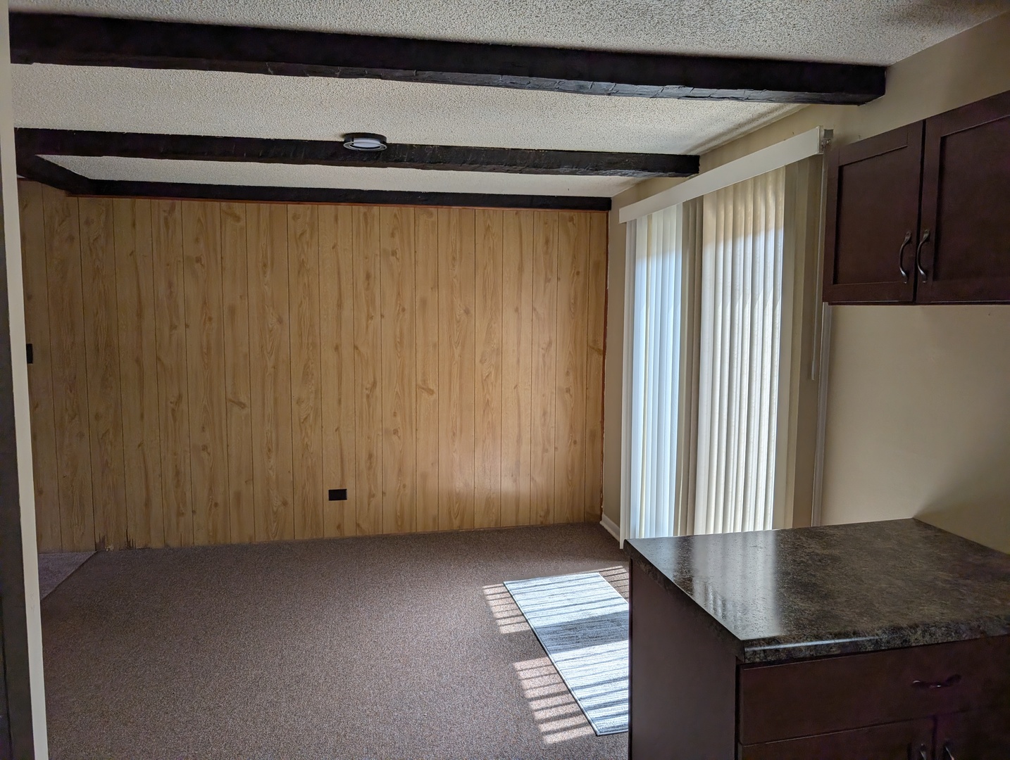 208 Dee Road North Aurora, IL 60542 - Photo 6 of 36