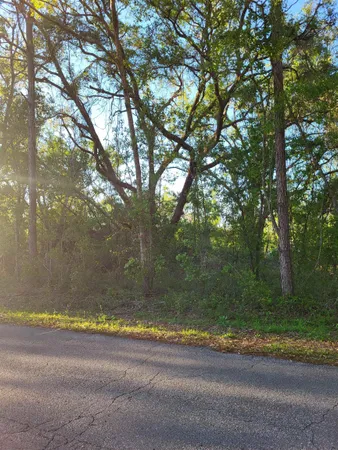 $25,000 | Lot 85-86 Canopy Lane, Perry, FL 32347
