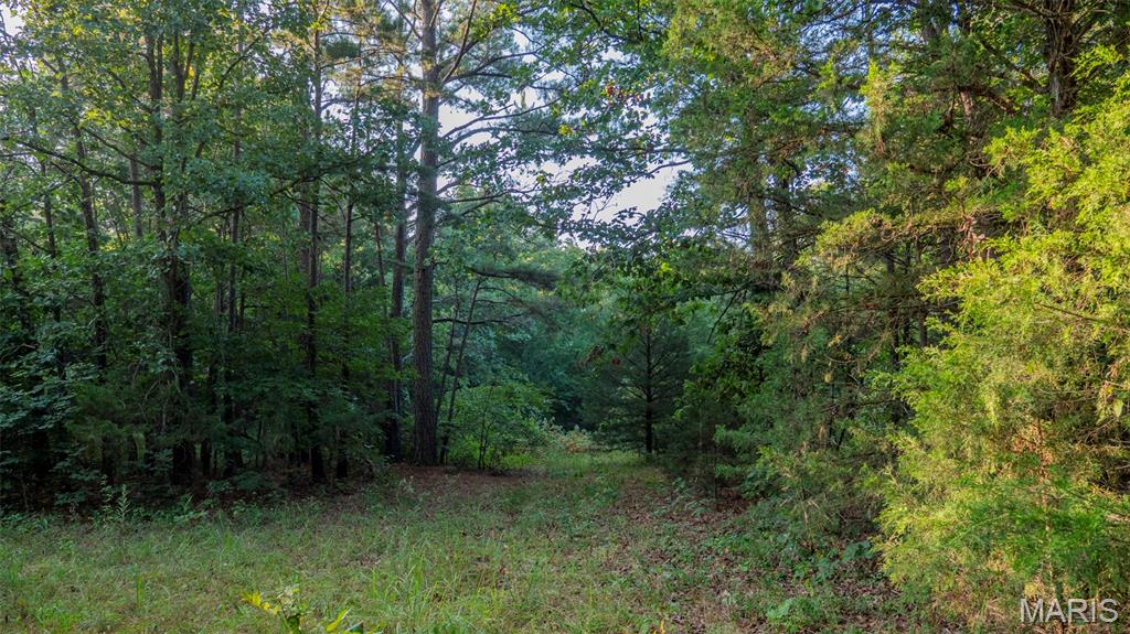 11620 Slaughter Road Licking, MO 65542 - Photo 34 of 38 Gallery Image 34