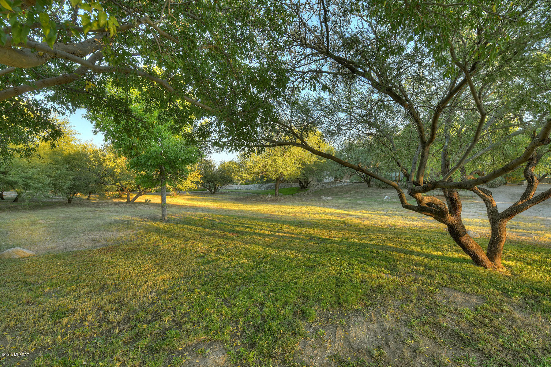 8000 East Alvin Road Tucson, AZ 85750 - Photo 37 of 45