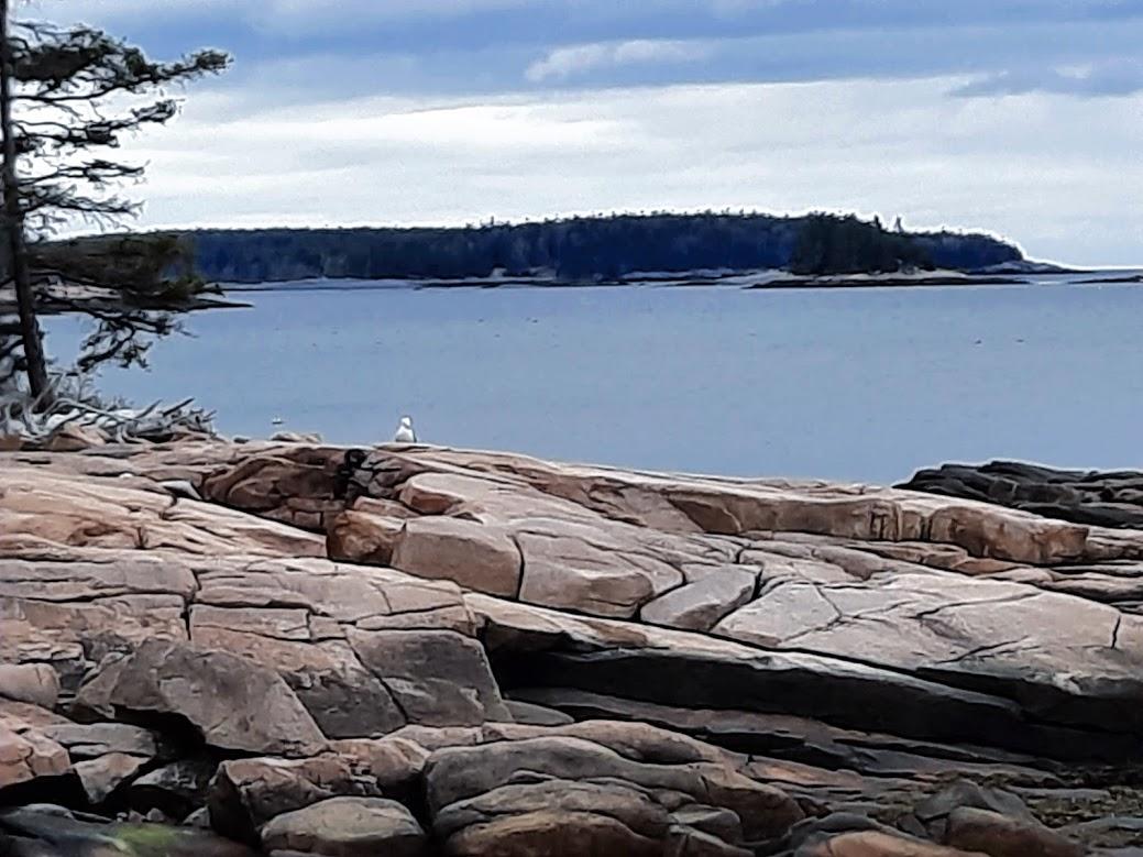 161 Gray Road Winter Harbor, ME 04693 - Photo 8 of 13 20210508_124152