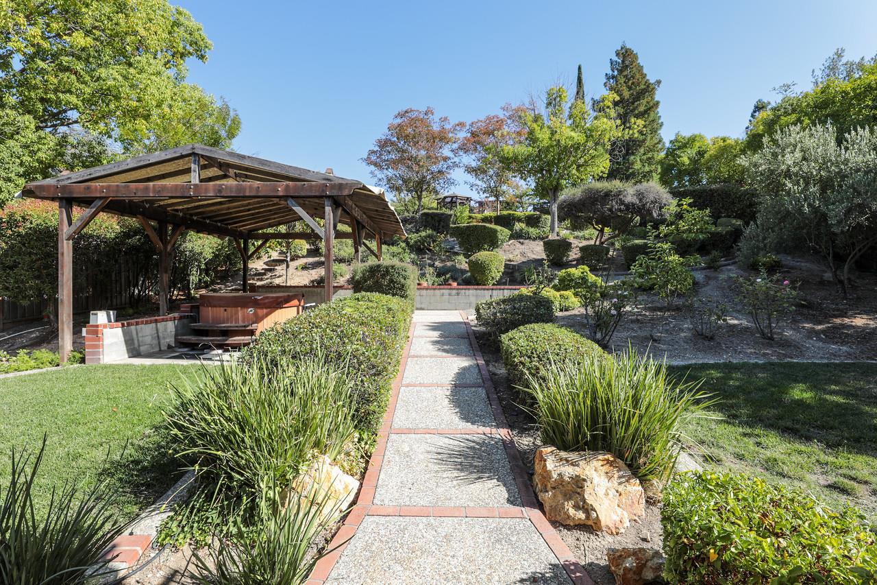 1398 Pierce Ranch Road San Jose, CA 95120 - Photo 24 of 32 a view of a backyard with plants