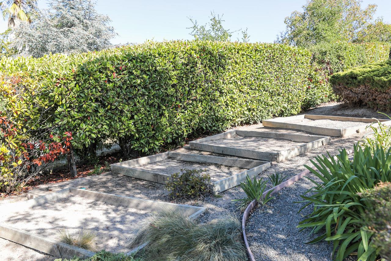 1398 Pierce Ranch Road San Jose, CA 95120 - Photo 27 of 32 a view of a yard with plants and trees