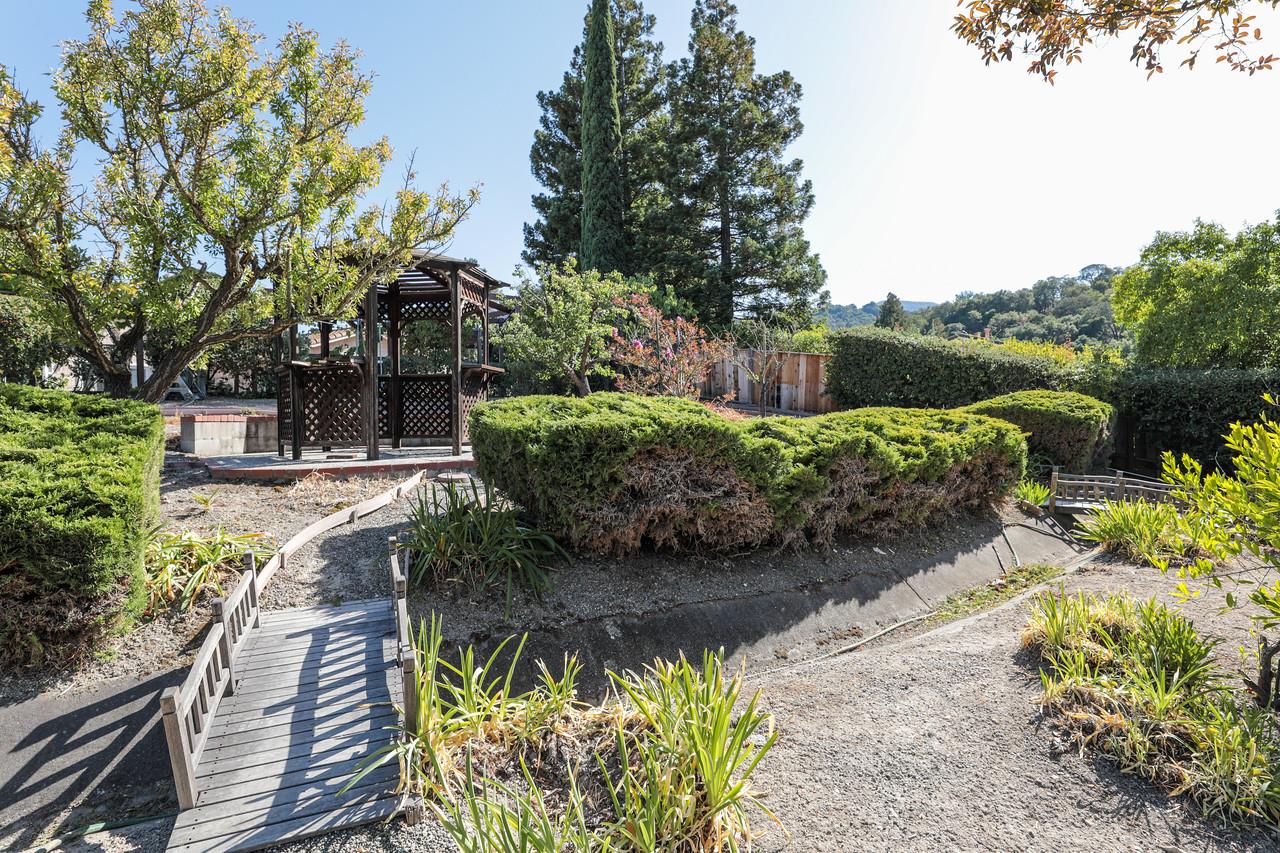 1398 Pierce Ranch Road San Jose, CA 95120 - Photo 28 of 32 a view of a garden with plants