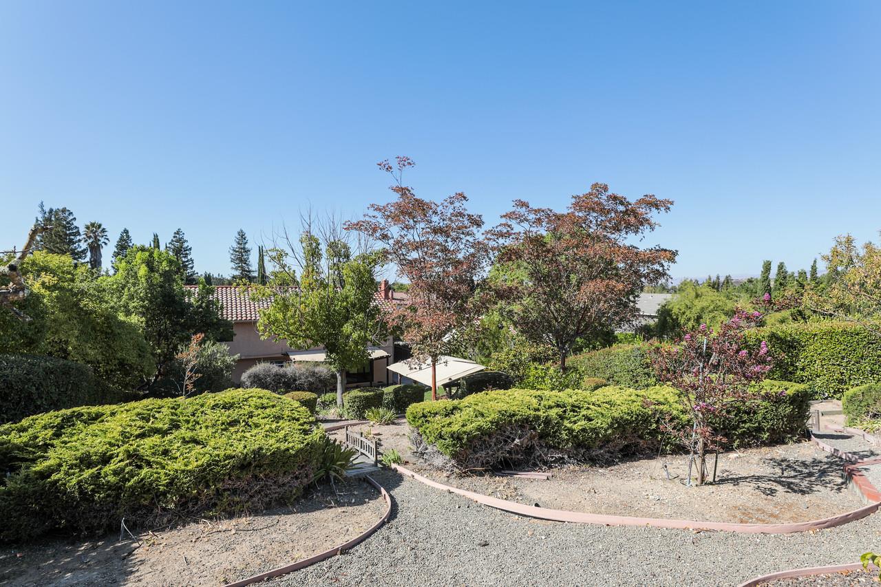 1398 Pierce Ranch Road San Jose, CA 95120 - Photo 30 of 32 a view of a garden with a tree