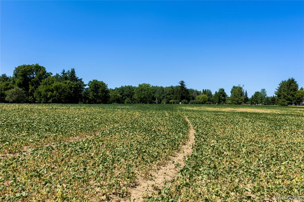 0 Applegate Road Sandusky, MI 48471 - Photo 5 of 15