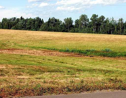 Lot 4-0 Danforth Road Danforth, ME 04424 - Photo 2 of 12 Land.