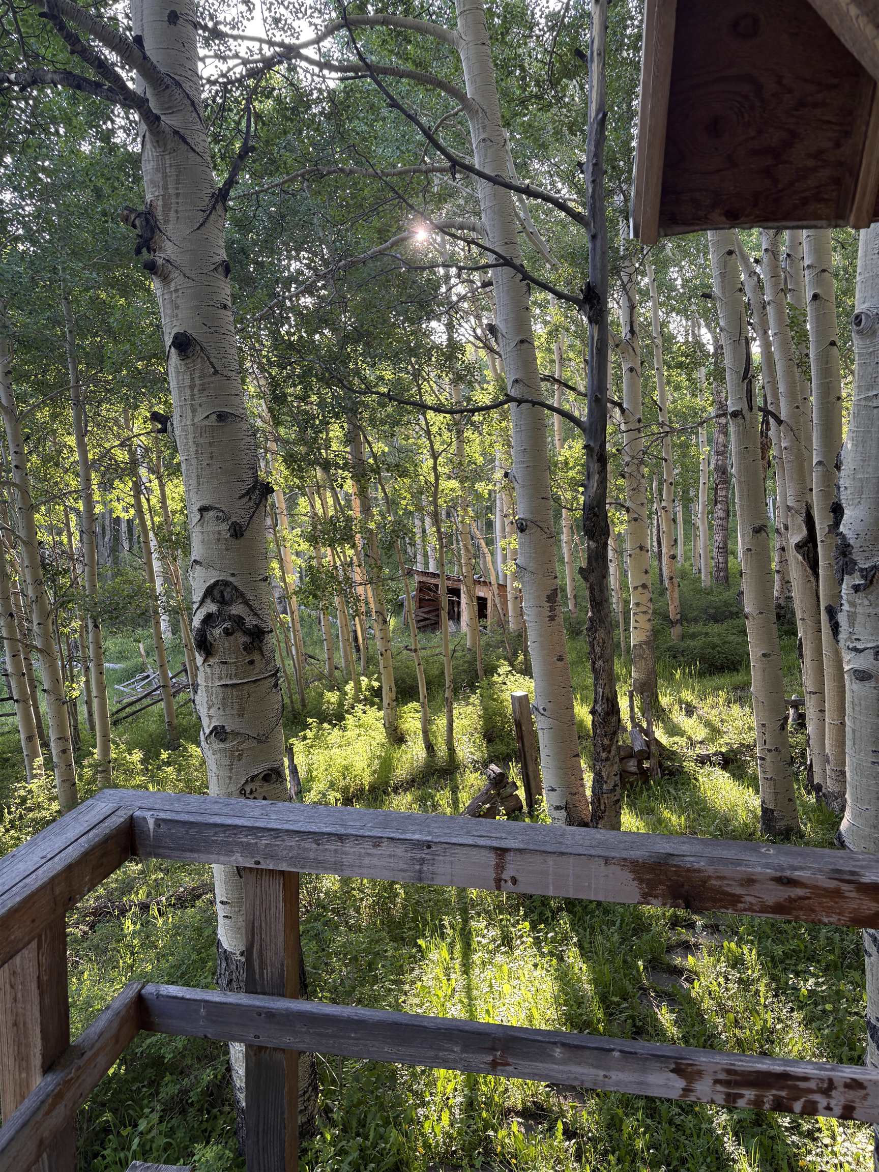 37081 Roatcap Road Paonia, CO 81428 - Photo 18 of 19